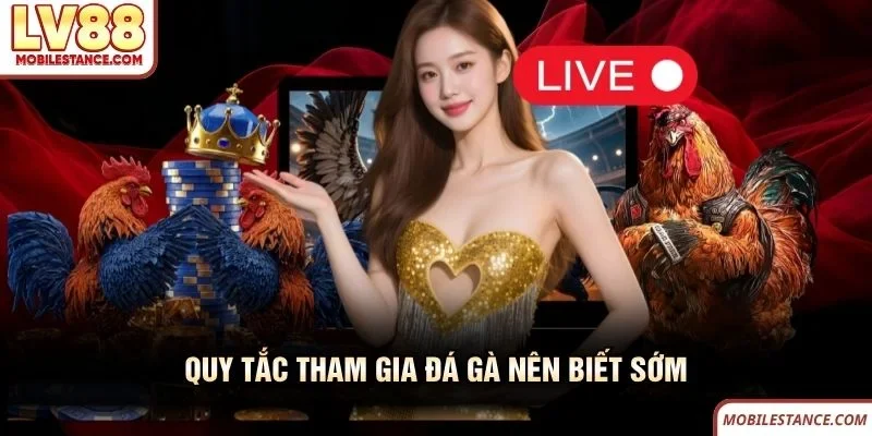 Đá Gà LV88 - Sân Chơi Kịch Tính Với Màn So Tài Đỉnh Cao 4 Quy tắc tham gia đá gà LV88 nên biết sớm